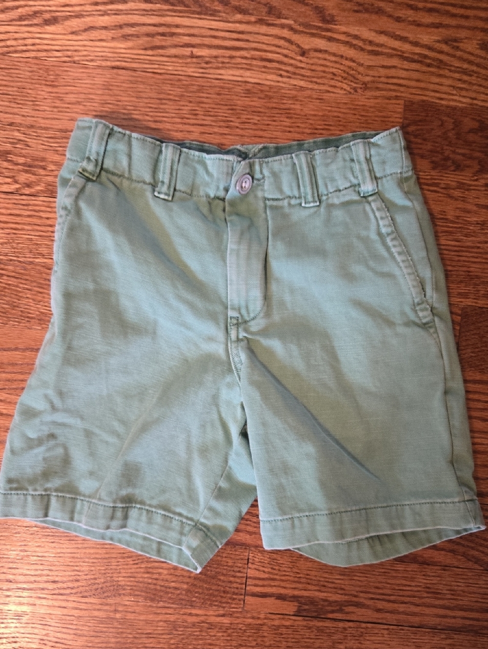 Polo by Ralph Lauren Light Green Cotton Flat-Front Shorts